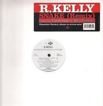 R Kelly Snake 12" vinyl USA Jive 2003 remix in title stickered sleeve b/w remix