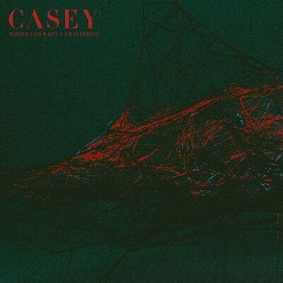 Casey Where I Go When I Am Sleeping (Vinyl)