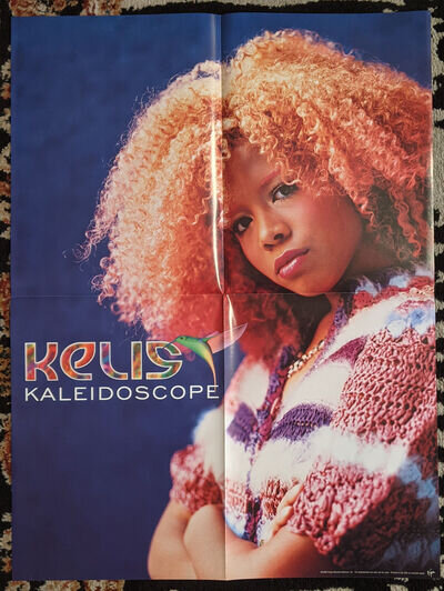 18 X 24" Promo R&B Poster - KELIS - Kaleidoscope VIRGIN 1999 NM NEPTUNES