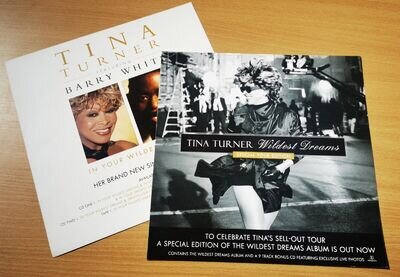 TINA TURNER DISPLAY CARD Poster In Your Wildest Dreams / Wildest Dreams UK PROMO