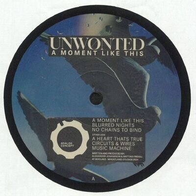 UNWONTED - A Moment Like This - Vinyl (12")