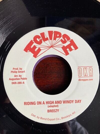 Breezy - Riding On A High And Windy Day RARE ROOTS KILLER NM