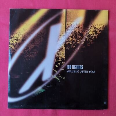 Foo Fighters / Ween - Walking After You Vinyl Record 7" UK 1988 Rock Grunge