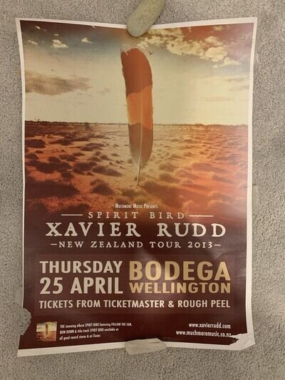 Xavier Rudd 2013 New Zealand poster