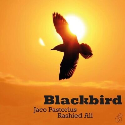 Jaco Pastorius and Rashied Ali - Blackbird (1LP Limited Coloured) Vinyl. Sealed!