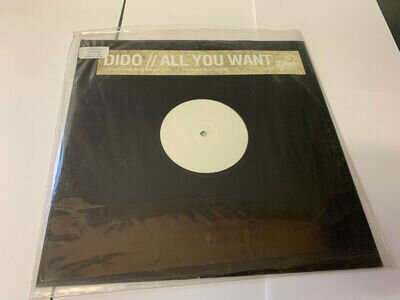 Dido - All You Want, 12", Single, Promo, W/Lbl, (Vinyl) EX/EX