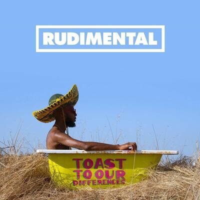 RUDIMENTAL - TOAST TO OUR DIFFERENCES 2 VINYL LP NEW