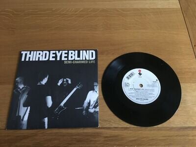 Third eye blind-semi charmed life.7"