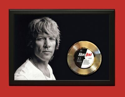 Bon Jovi Raise Your Hands 2 Poster Art Framed 45 Gold Record Display