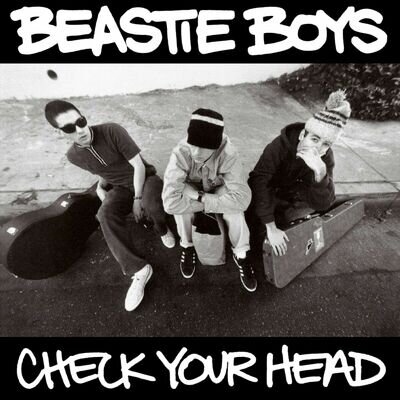 BEASTIE BOYS Check Your Head BANNER HUGE 4X4 Ft Fabric Poster Tapestry Flag art