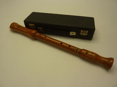 Vintage Wooden Adler Recorder in Case (B)