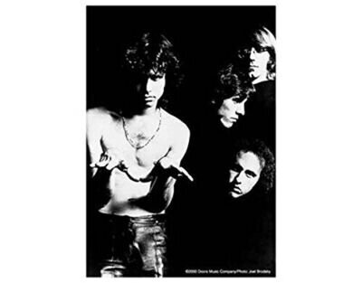 The Doors fabric poster