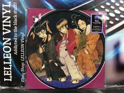 TLC Waterfalls 12" Limited Edition Picture Disc Vinyl EP 19439724381 R&B 00’s