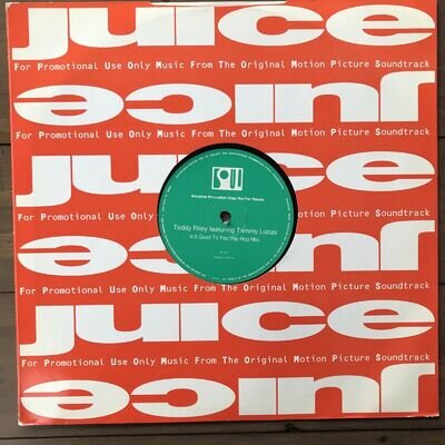 Teddy Riley Is It Good To You 12” Vinyl PROMO WMCST1611 VG/VG Play Tested