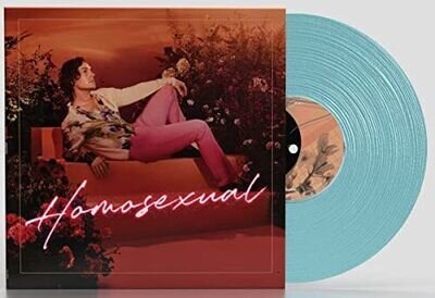 DARREN HAYES - Homosexual Turquoise Vinyl - New Vinyl Record lp - A1398z