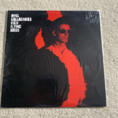 noel gallagher's high flying birds vinyl The Dying Of The Light