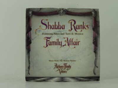 SHABBA RANKS FT PETRA AND TERRI AND MONICA FAMILY AFFAIR (53) 2 Track 7" Single