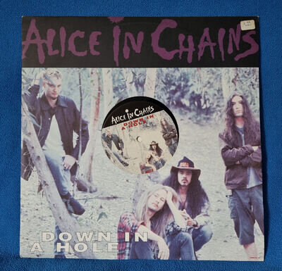 Alice In Chains - Down In A Hole 12" Vinyl Single (1993)