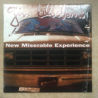 LP - Gin Blossoms New Miserable Experience 12" vinyl Hey Jealousy Lost Horizons