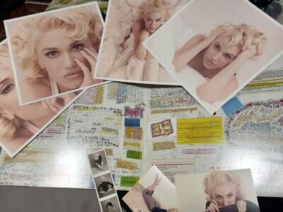 Gwen Stefani This is What Truth feels Like 2016 vinyl