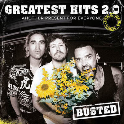 Busted : Greatest Hits 2.0: Another Present for Everyone VINYL 12" Album