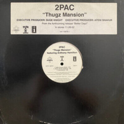 2Pac - Thugz Mansion (12", Single, Promo) (Very Good Plus (VG+))