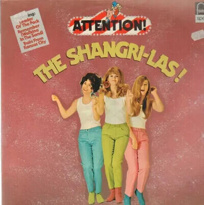 The Shangri-Las Attention..Fontana Vinyl LP