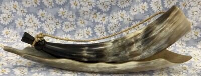 Vintage Ox Cow Blowing Horn Hunting Horn with Handle and Holder / Tray Real Horn