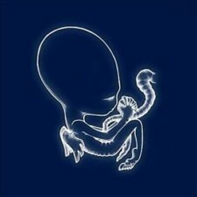 Sigur Ros : Agatis Byrjun Vinyl***NEW*** Highly Rated eBay Seller Great Prices