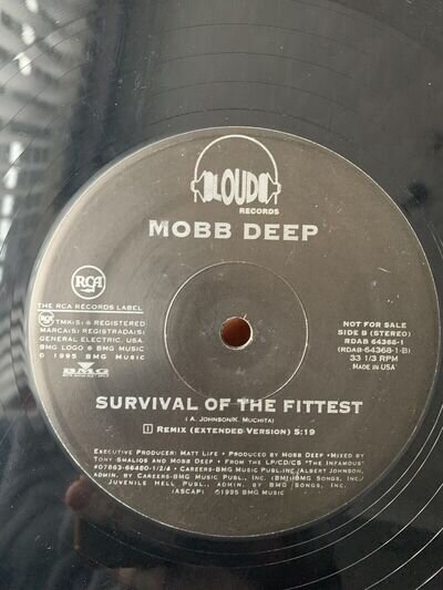 Mobb Deep - Survival Of The Fittest Remix - 12" Rap Vinyl Hip Hop