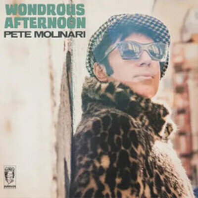 Pete Molinari | Wondrous Afternoon | Vinyl LP