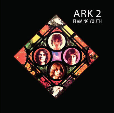 Flaming Youth : Ark 2 VINYL 12" Album Coloured Vinyl (2024) ***NEW***