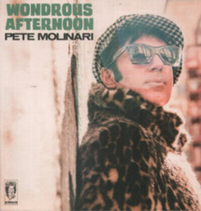 Pete Molinari Wondrous Afternoon LP vinyl Italy Blind Faith 2024 BFRLP0111