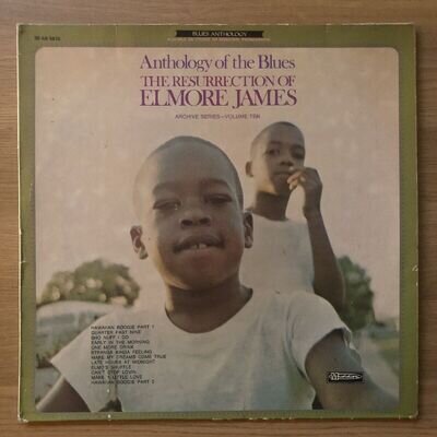 Elmore James - The Ressurection Of Elmore James - Musidisc - VG+