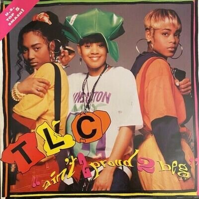 TLC Ain't 2 Proud 2 Beg 12" Vinyl