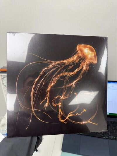 Royal Blood : Back To The Water Below (Vinyl) New - Rip to top of the cover