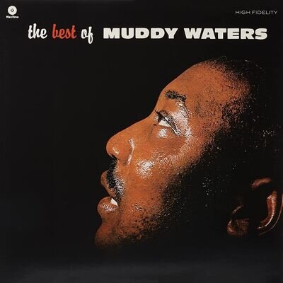 Muddy Waters The Best of Muddy Waters (Vinyl) 12" Album