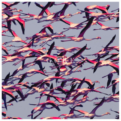 DEFTONES - Gore (2016) Double Vinyl LP : Excellent Condition 2 LP Gatefold