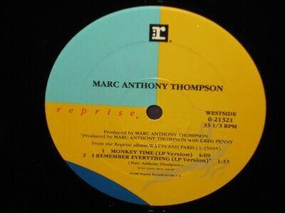 Marc Anthony Thompson – Dog In The Road (Of Life) 12" Vinyl VG+