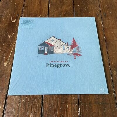 Pinegrove - Amperland, NY Vinyl Record 2xLP BLACK 2021