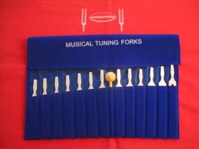 13 Economy Musical Tuning Forks for Piano Guitar+Mallet