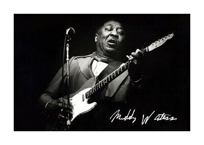 Muddy Waters 2 A4 reproduction autograph poster with choice of frame