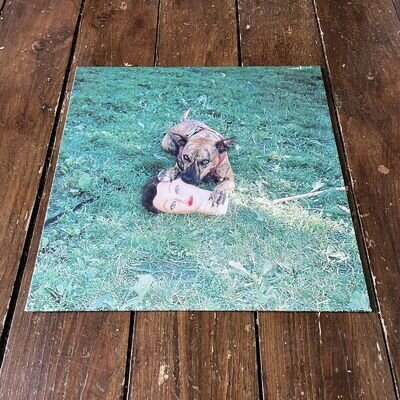 Joyce Manor - Cody Vinyl Record BLACK 2016