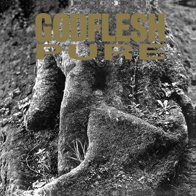 Godflesh 'Pure' Black Vinyl - NEW