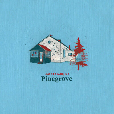 Pinegrove Amperland NY Vinyl Album LP Record