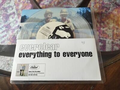 Everclear-Everything To Everyone 7” Picture Sleeve Clear Vinyl Single .