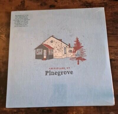 Amperland, Ny by Pinegrove (Record, 2021) BRAND NEW AND SEALED!