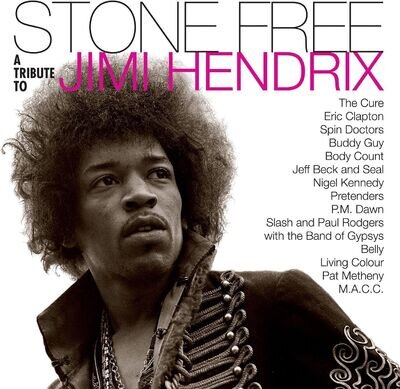 Body Count Stone Free:Jimi Hendrix Tribute (Vinyl)