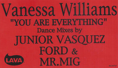 Vanessa Williams - You Are Everything (2x12", Promo, Red) (Very Good Plus (VG+))