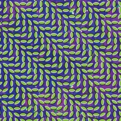 Animal Collective - Merriweather Post Pavilion [VINYL]